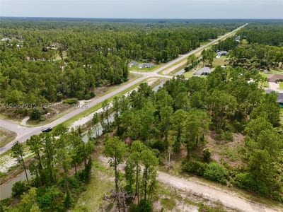 1201 Louis Ave, Lehigh Acres, FL 33972 — 50 of 51