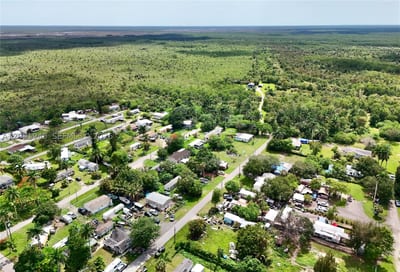 238 Old Train Ln, FL 34137 — 4 of 19