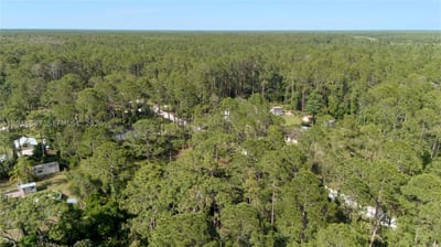 2124 East Pkwy, Deland, FL 32724 — 11 of 31