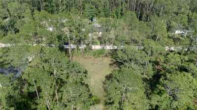 2124 East Pkwy, Deland, FL 32724 — 18 of 31