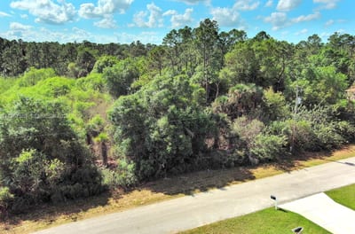 3201 49th St W, Lehigh Acres, FL 33971 — 2 of 14
