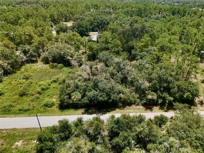 1210 Mcarthur Ave, Lehigh Acres, FL 33972 — 24 of 30