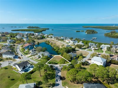 Harbour Watch Dr, FL 34689 — 2 of 31