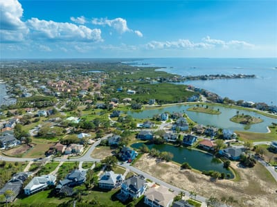 Harbour Watch Dr, FL 34689 — 5 of 31