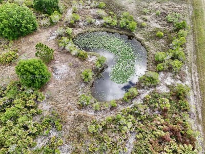 17923 NW 250th, Okeechobee, FL 34972 — 32 of 41