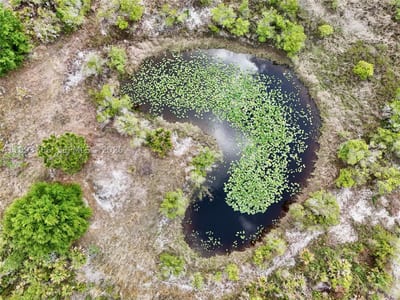17923 NW 250th, Okeechobee, FL 34972 — 33 of 41