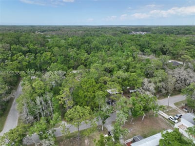 Eagle Lk Ave, New Port Richey, FL 34654 — 13 of 24
