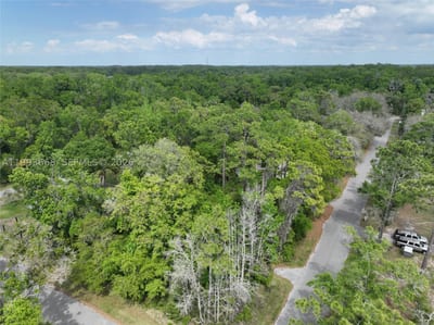 Eagle Lk Ave, New Port Richey, FL 34654 — 18 of 24