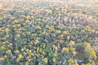 13254 E Shawnee Trl, Inverness, FL 34450 — 10 of 24