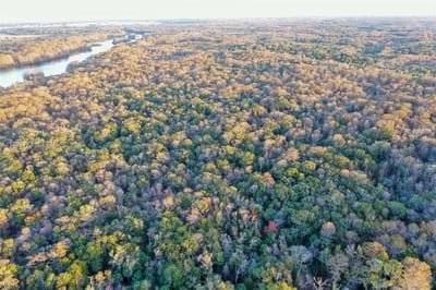 13254 E Shawnee Trl, Inverness, FL 34450 — 13 of 24