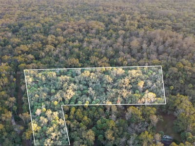 13254 E Shawnee Trl, Inverness, FL 34450 — 2 of 24