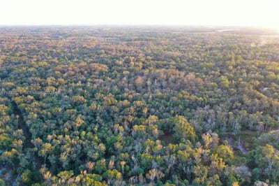 13254 E Shawnee Trl, Inverness, FL 34450 — 9 of 24