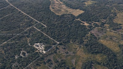 Unknown, FL 33849 — 4 of 4