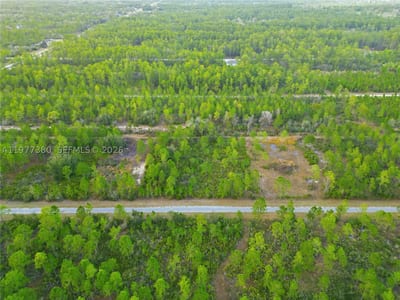 310 Tropicana Dr, Lake Wales, FL 33855 — 12 of 27