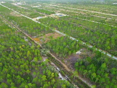 310 Tropicana Dr, Lake Wales, FL 33855 — 15 of 27