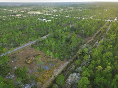 310 Tropicana Dr, Lake Wales, FL 33855 — 20 of 27