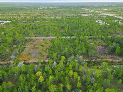 310 Tropicana Dr, Lake Wales, FL 33855 — 21 of 27