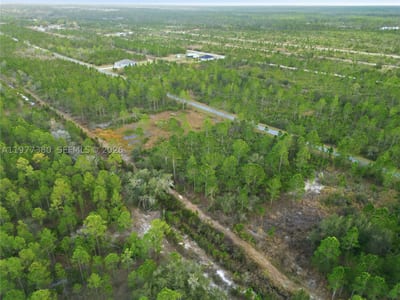 310 Tropicana Dr, Lake Wales, FL 33855 — 22 of 27