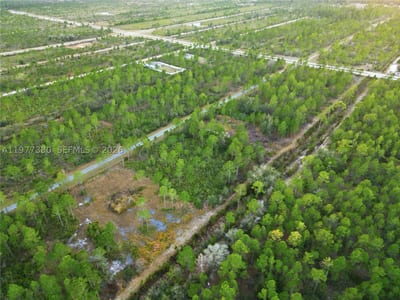 310 Tropicana Dr, Lake Wales, FL 33855 — 26 of 27