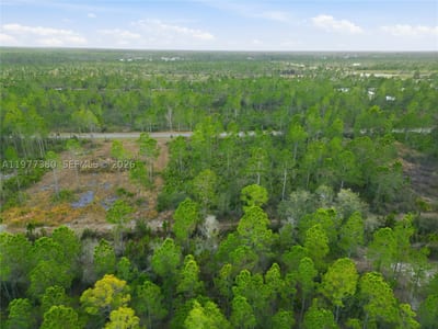 310 Tropicana Dr, Lake Wales, FL 33855 — 27 of 27