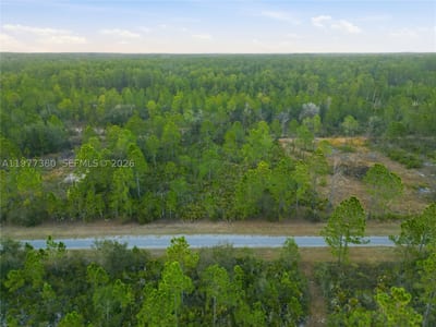 310 Tropicana Dr, Lake Wales, FL 33855 — 4 of 27