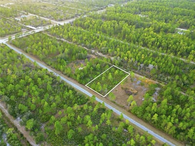310 Tropicana Dr, Lake Wales, FL 33855 — 7 of 27
