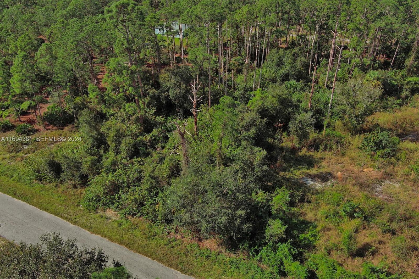1515 Glenn Ave, Lehigh Acres, FL 33972 — 3 of 16