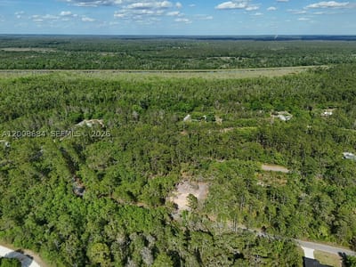Fisher Trace Dr, FL 32179 — 6 of 14
