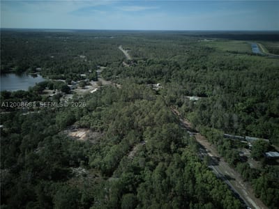 Fisher Trace Dr, FL 32179 — 8 of 14