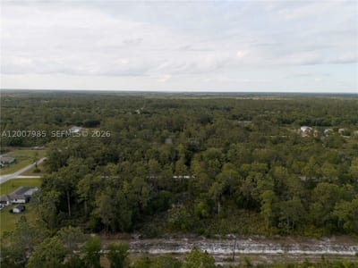 Hibiscus Dr, FL 33855 — 15 of 22