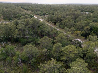 Hibiscus Dr, FL 33855 — 8 of 22