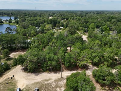 225 Mirror Lk Dr, FL 32148 — 14 of 17