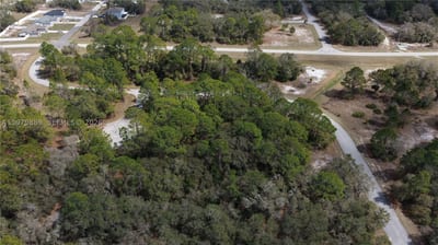 500 Caribbean Pl, FL 34759 — 10 of 17