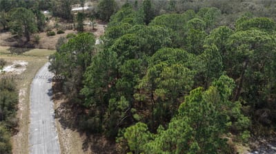 500 Caribbean Pl, FL 34759 — 17 of 17