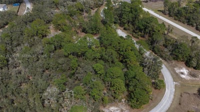 500 Caribbean Pl, FL 34759 — 4 of 17