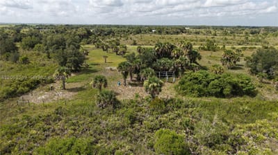 14773 Nw 280th, Okeechobee, FL 34972 — 15 of 21