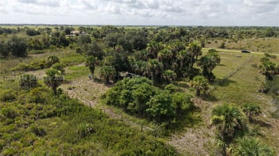 14773 Nw 280th, Okeechobee, FL 34972 — 16 of 21