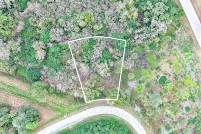 173 Carousel Ave, La Belle, FL 33935 — 2 of 21