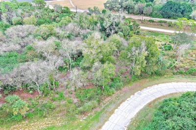 173 Carousel Ave, La Belle, FL 33935 — 6 of 21