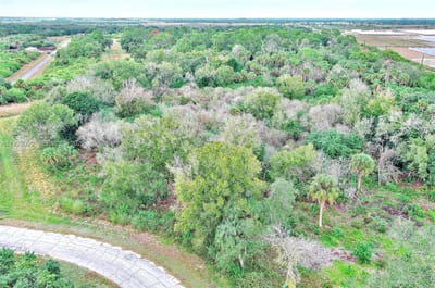 173 Carousel Ave, La Belle, FL 33935 — 9 of 21