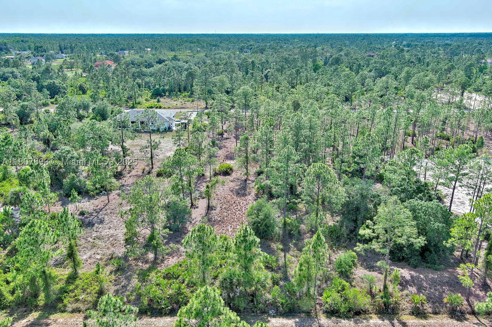 317 Fitch Ave, Lehigh Acres, FL 33936 — 10 of 23