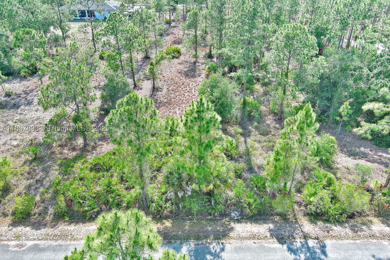 317 Fitch Ave, Lehigh Acres, FL 33936 — 3 of 23