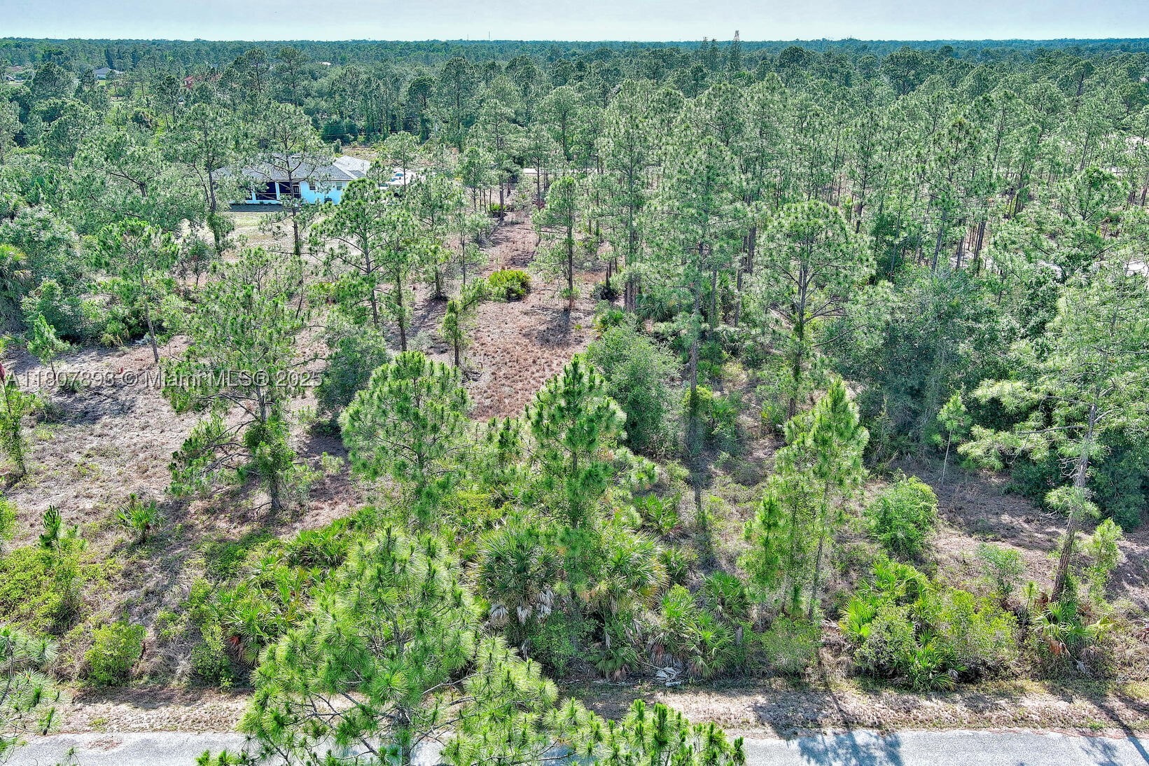 317 Fitch Ave, Lehigh Acres, FL 33936 — 4 of 23