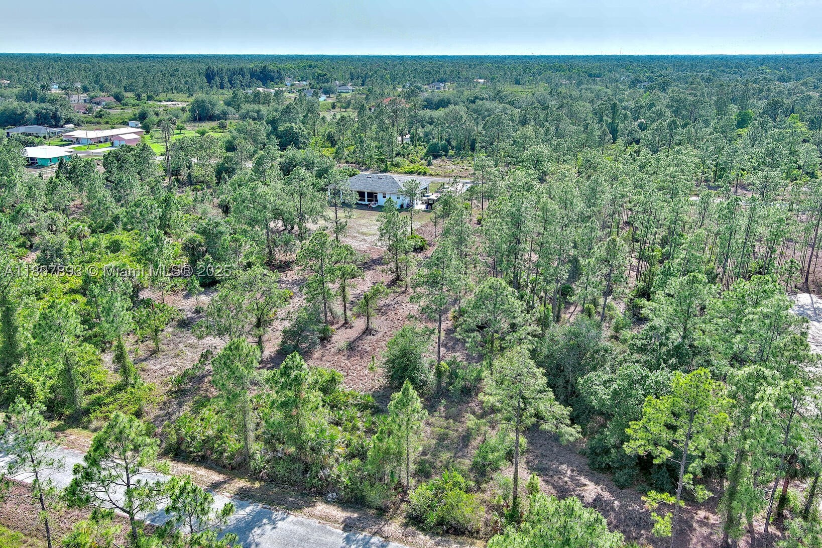 317 Fitch Ave, Lehigh Acres, FL 33936 — 7 of 23
