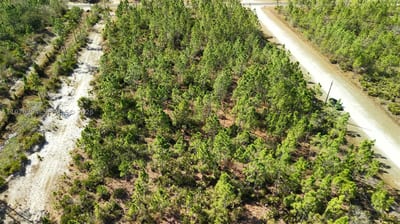 Portulaca Dr, FL 33855 — 17 of 68