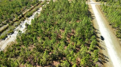 Portulaca Dr, FL 33855 — 18 of 68