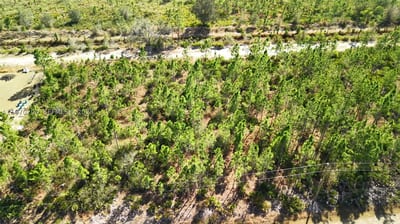 Portulaca Dr, FL 33855 — 21 of 68