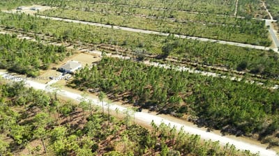Portulaca Dr, FL 33855 — 25 of 68