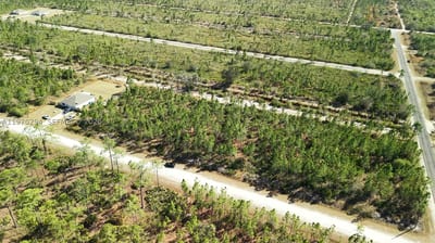 Portulaca Dr, FL 33855 — 26 of 68