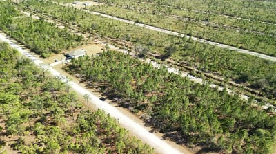 Portulaca Dr, FL 33855 — 28 of 68